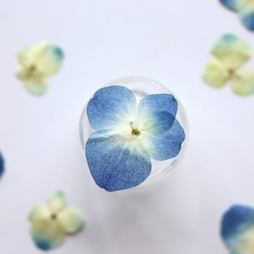 48 Pcs Dried Pressed Flowers for Resin DIY Art Crafts