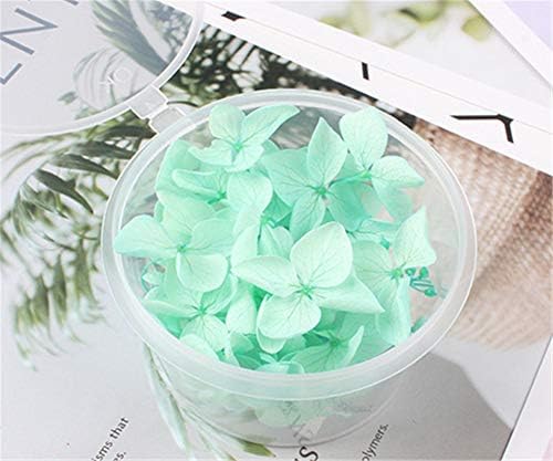 Natural Dried Hydrangea Flower Pressed for Scrapbooking Crafts