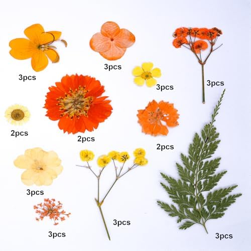 30Pcs Dried Pressed Flowers for Resin Art Crafts