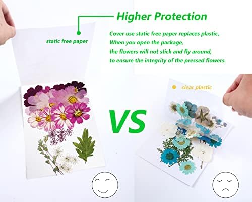 Big Dried Flowers for Resin Crafting and Scrapbooking Supplies Purple Galsang