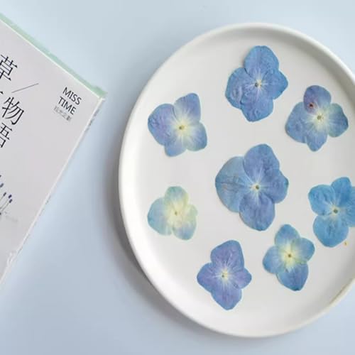 48 Pcs Dried Pressed Flowers for Resin DIY Art Crafts