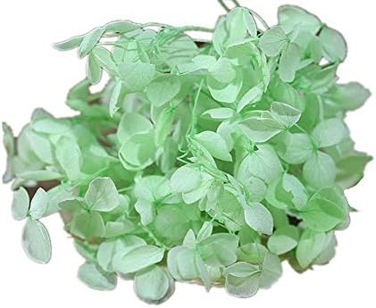 Natural Dried Hydrangea Flower Pressed for Scrapbooking Crafts