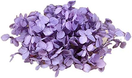 Natural Dried Hydrangea Flowers Purple DIY Craft Decor