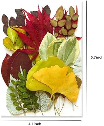 35 Pcs Dried Flowers Leaves for Crafts Resin Art DIY