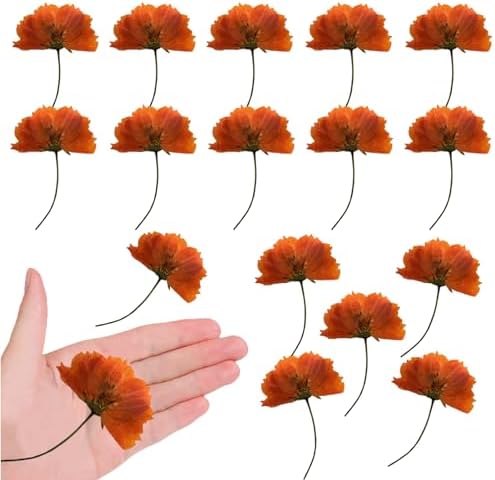HEISENLIN Orange Dried Cosmos Flowers 42PCS for Resin Jewelry DIY Crafts