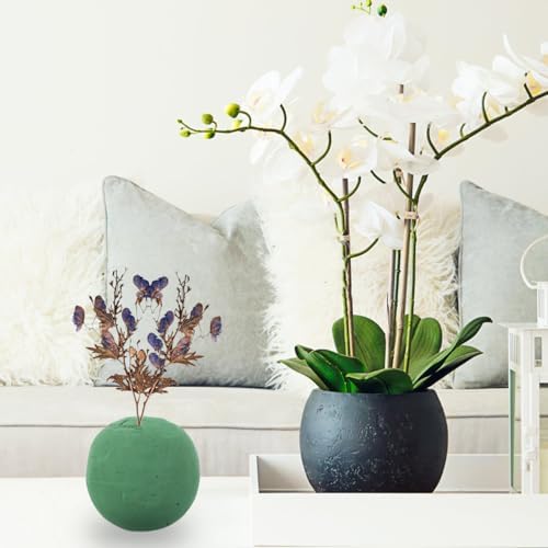 NOLITOY 2Pcs Floral Foam Spheres 472 Inch