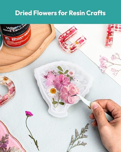 100 Pcs Dried Flowers for Resin Crafts and DIY Projects