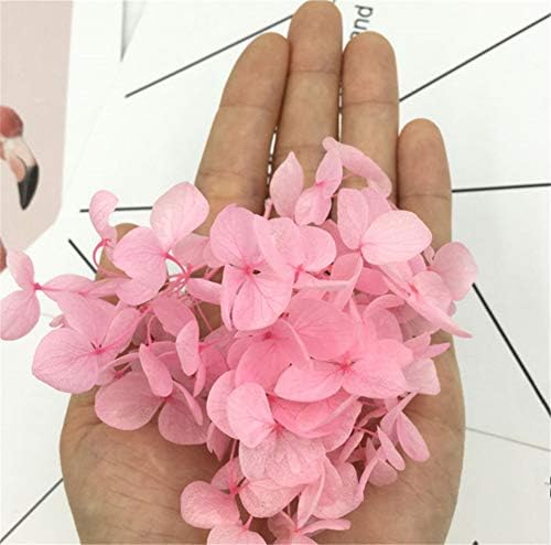 Natural Dried Flowers Hydrangea Pressed Scrapbooking Embellishments Dark Pink