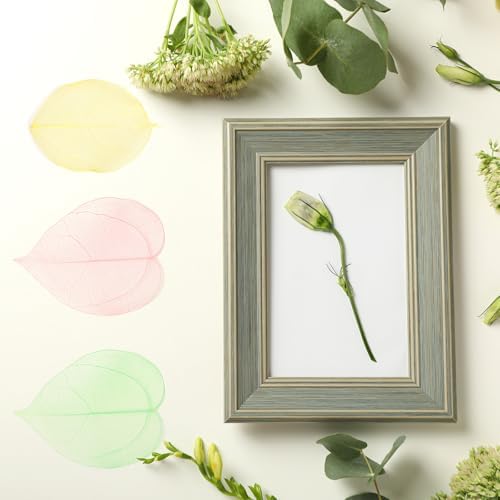 Uxcell 100 Pcs Grey Skeleton Leaves for Scrapbooking and Crafts