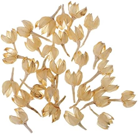Pistro 30 Real Natural Rose Hips Dried Flowers for Crafts