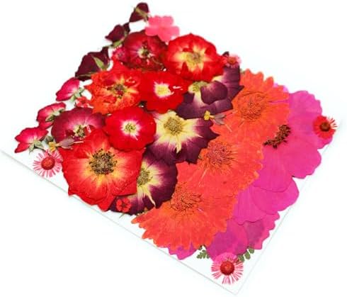 OECCO Large Red Dried Pressed Flowers for Resin Crafting
