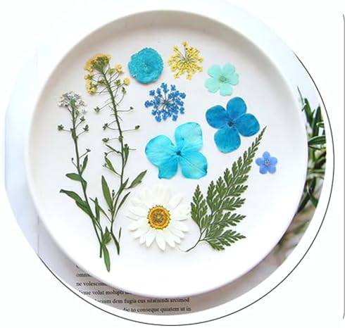 40 Pcs Dried Pressed Flowers Resin Art Craft Decor