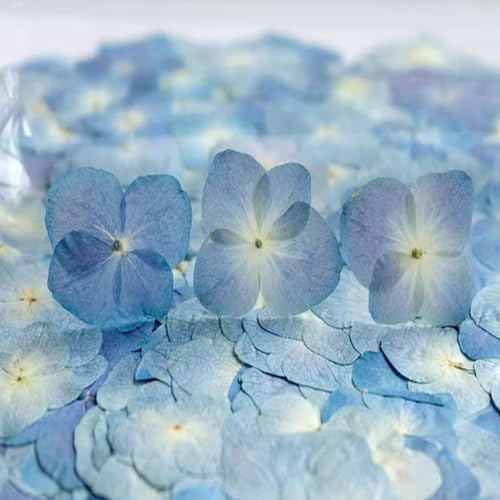 48 Pcs Dried Pressed Flowers for Resin DIY Art Crafts