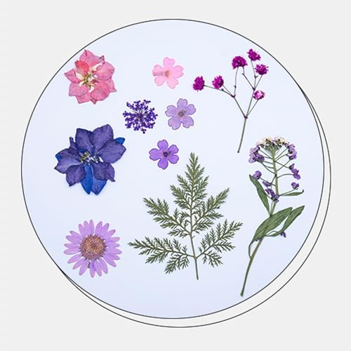 35Pcs Dried Pressed Flowers for Resin DIY Art Crafts