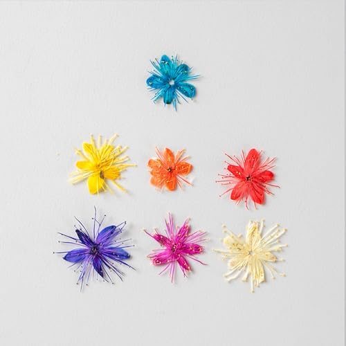 84 Pcs Dried Pressed Flowers for Resin Art DIY Crafts