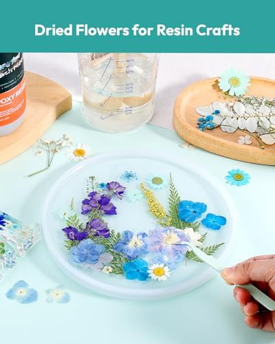 174 Pcs Dried Flowers Pressed for Crafts