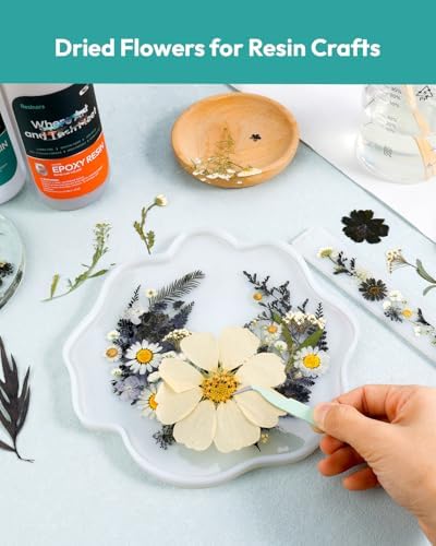 Dried Flowers Pressed Flowers Craft Kit for Scrapbooking DIY