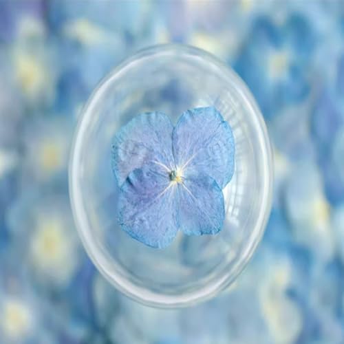 48 Pcs Dried Pressed Flowers for Resin DIY Art Crafts