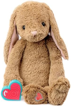 My Babys Heartbeat Bear Digital Voice Recorder Bunny