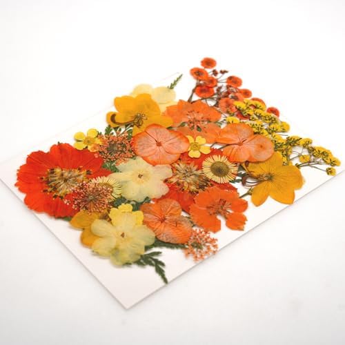 30Pcs Dried Pressed Flowers for Resin Art Crafts