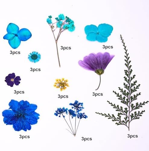 30 Pcs Dried Flowers Leaves Resin Crafting Decor