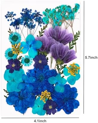 30 Pcs Dried Flowers Leaves Resin Crafting Decor