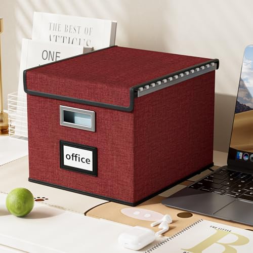 Huolewa Upgraded File Storage Organizer Box with Lid