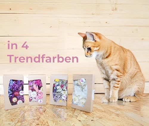 Premium Dried Flowers for Crafts in Eco Paper Box