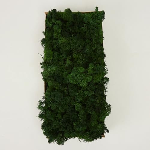 Preserved Reindeer Moss Green DIY Flower Arranging Kit