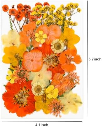 30Pcs Dried Pressed Flowers for Resin Art Crafts