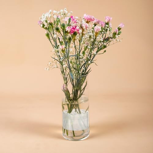 PATIKIL Spiral Flower Stem Holder 2 Pcs Grey