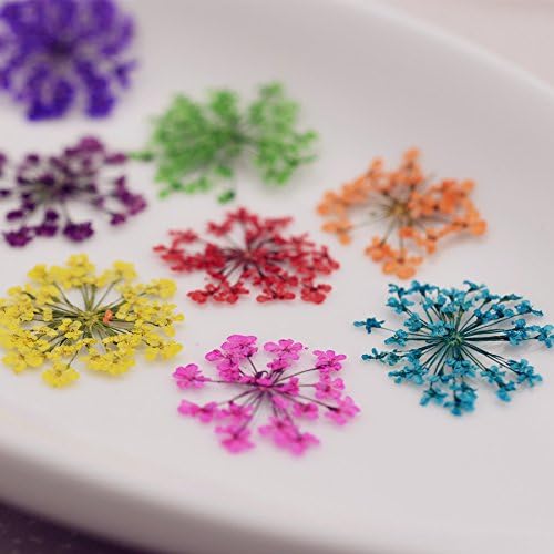 72 Pcs Blue Dried Flowers for Nail Art Resin Decals