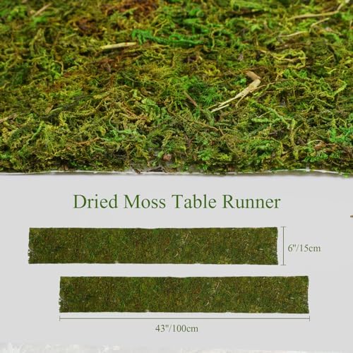 Jutom Dried Moss Table Runner for Decor and Crafts