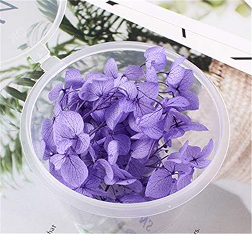 Natural Dried Hydrangea Flowers Purple DIY Craft Decor