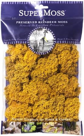 SuperMoss Reindeer Moss Preserved 2oz Mango