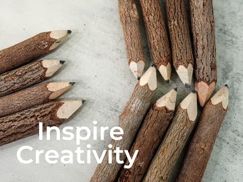 BSIRI Natural Wood Graphite Twig Pencils Set of 12