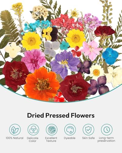 174 Pcs Dried Flowers Pressed for Craft Projects