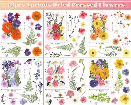 eBoot 72 Pcs Dried Pressed Flowers for Craft Projects