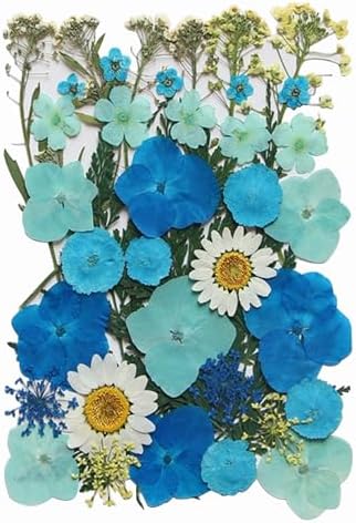 40 Pcs Dried Pressed Flowers Resin Art Craft Decor