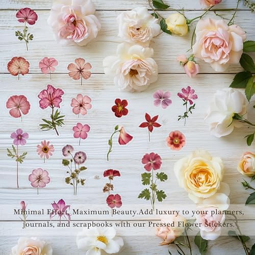 Pressed Flower Stickers 500 Pieces 36 Sheets