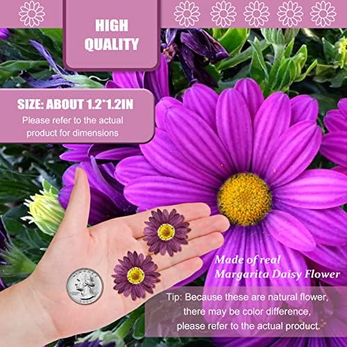 Purple Dried Sunflowers Margarita Daisies for Resin Crafts 60PCS