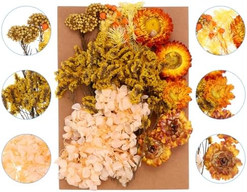 PATIKIL Orange Pressed Flowers for Resin Crafts and DIY Projects