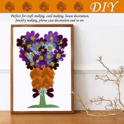 60PCS Dried Orange Cosmos Flowers for Resin Crafts