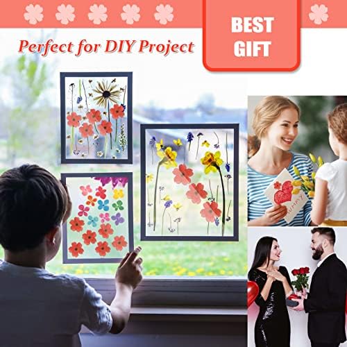 Red Dried Cherry Blossom Flowers for Resin Crafts 60PCS