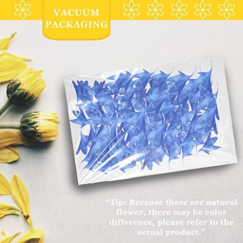 Blue Dried Pressed Corn-Flower for Resin Crafts 50PCS