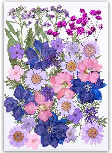 35Pcs Dried Pressed Flowers for Resin DIY Art Crafts