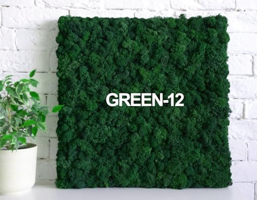 Preserved Reindeer Moss Green DIY Flower Arranging Kit