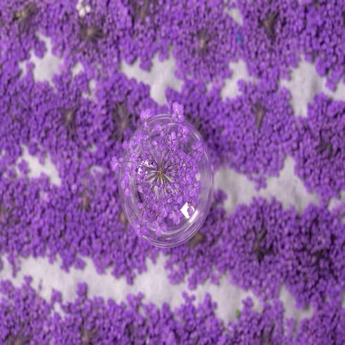 60 Pcs Dried Pressed Flowers for Resin DIY Art Crafts