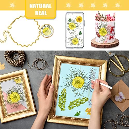60PCS Yellow Pressed Flowers for Resin Crafts