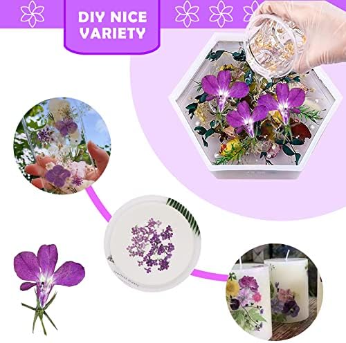 Purple Dried Flowers for Resin Crafts 60PCS